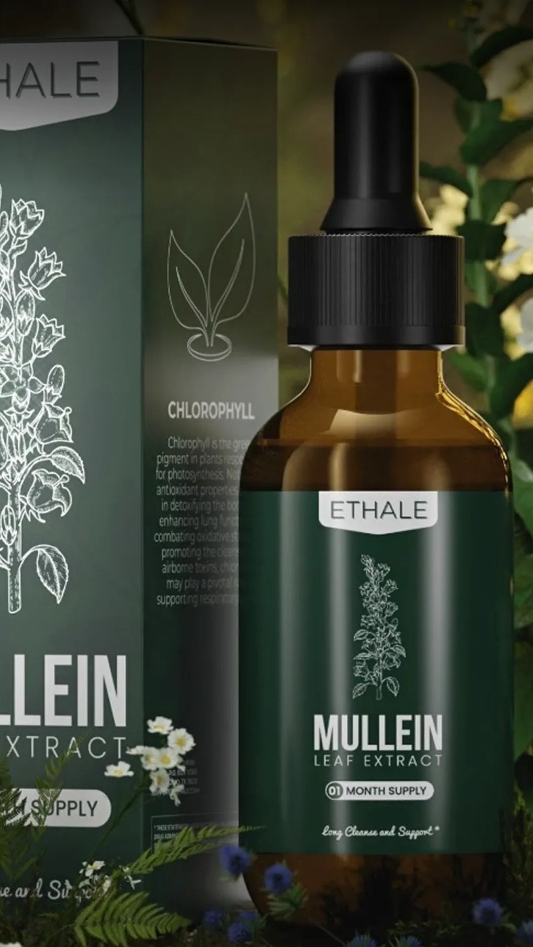 Untitled design copy